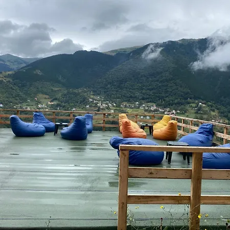 Yamaç çam * Trebizonda